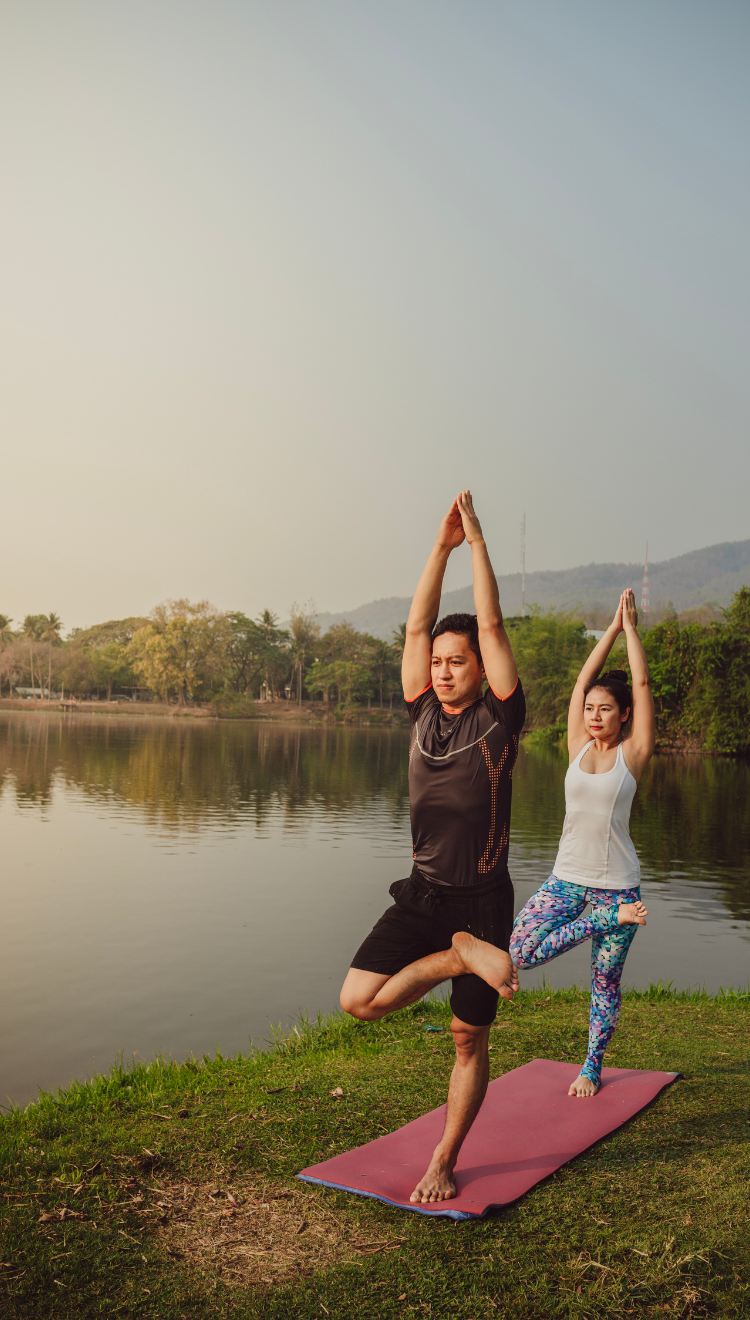 Wellness Plus Ayurveda Retreat